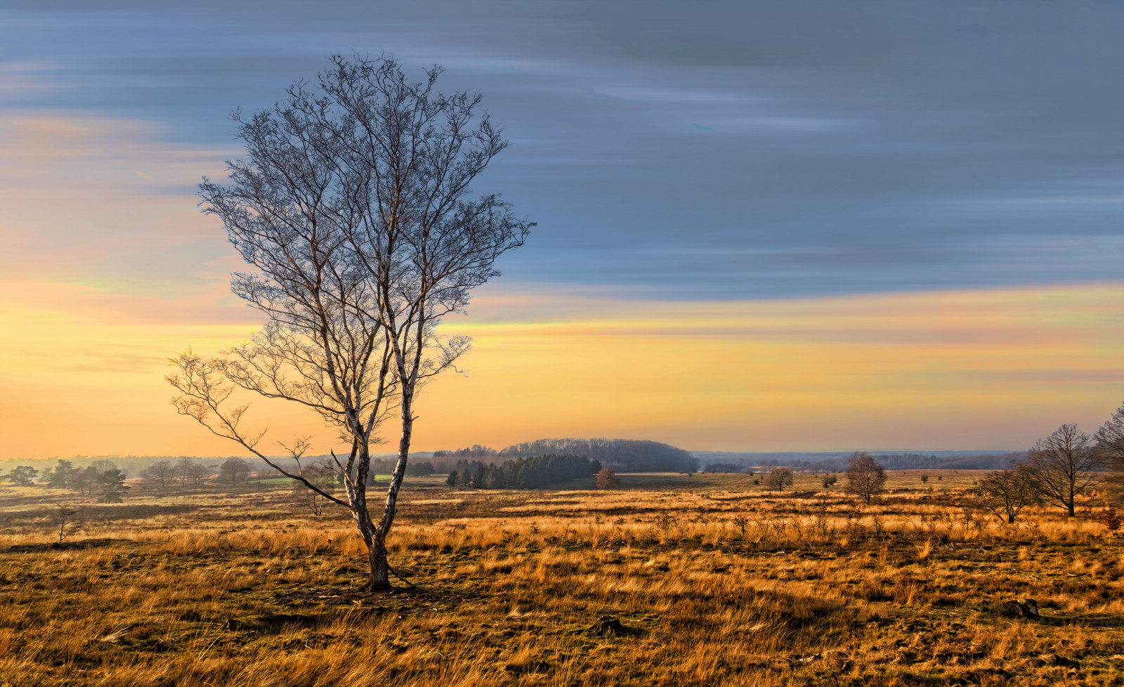 nebe, ekosystém, strom, svítání, horizont, ráno, pole, atmosféra, svítání, kopec, mrak, večer, prostý, slunečnímu záření, ekoregion, venkov, krajina, savana, národní park, lučina, prérie, louka, soumrak, větev, počítač tapeta, step, tráva, červená obloha v dopoledních hodinách, hora, křoviny, klesl