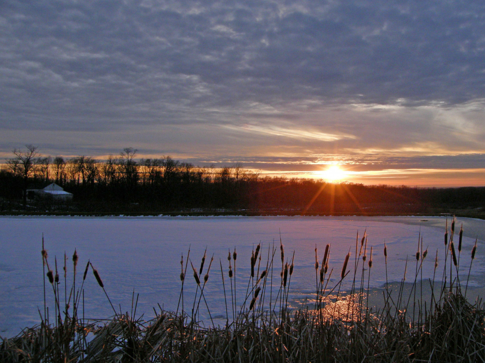 himmel, afspejling, horisont, vand, daggry, vådområde, solopgang, sø, solnedgang, aften, morgen, atmosfære, Sky, fænomen, skumring, sollys, flod, marsk, reservoir, træ, berolige, Bank, efterglød, flodslette, landskab, loch