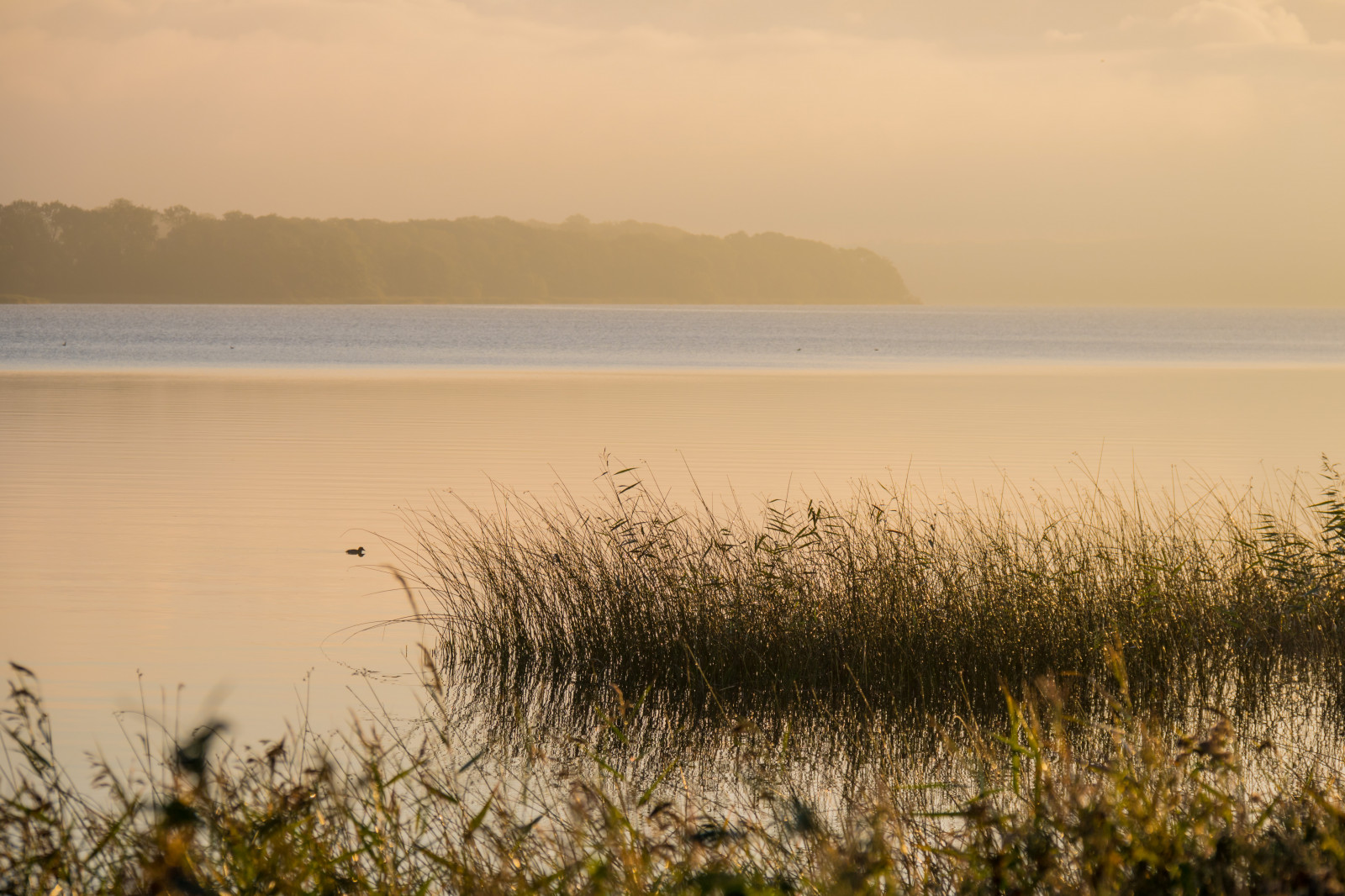 slunečnímu záření, krajina, západ slunce, moře, jezero, voda, Příroda, pobřeží, písek, odraz, tráva, pláž, svítání, večer, ráno, mlha, pobřeží, slunce, horizont, soumrak, Klid, mokřadní, klid, mrak, svítání, oceán, h r, sj, soluppg ng, gryning, exif modelu canoneos760d, geocountry, Kamera aby kánon, geocity, Model fotoaparátu canoneos760d, geostate, geolocation, EXIF čočka efs18200mmf3556is, exif aby kánon, EXIF isospeed 100, exif focallength 110mm, EXIF otvor 71, ringsj n, straringsj n, bažina, jezero, místo výskytu, přírodní prostředí, atmosférický jev, tělo z vody, tráva rodina