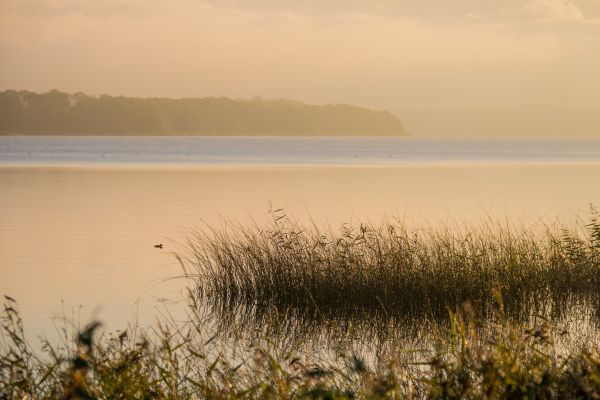 sunlight,landscape,sunset,sea,lake,water