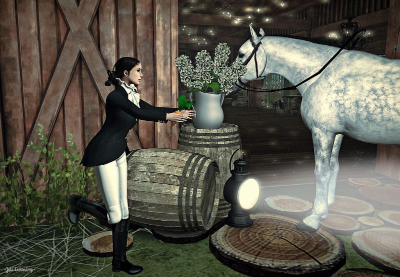 cavallo, cavallo come mammifero, ricreazione