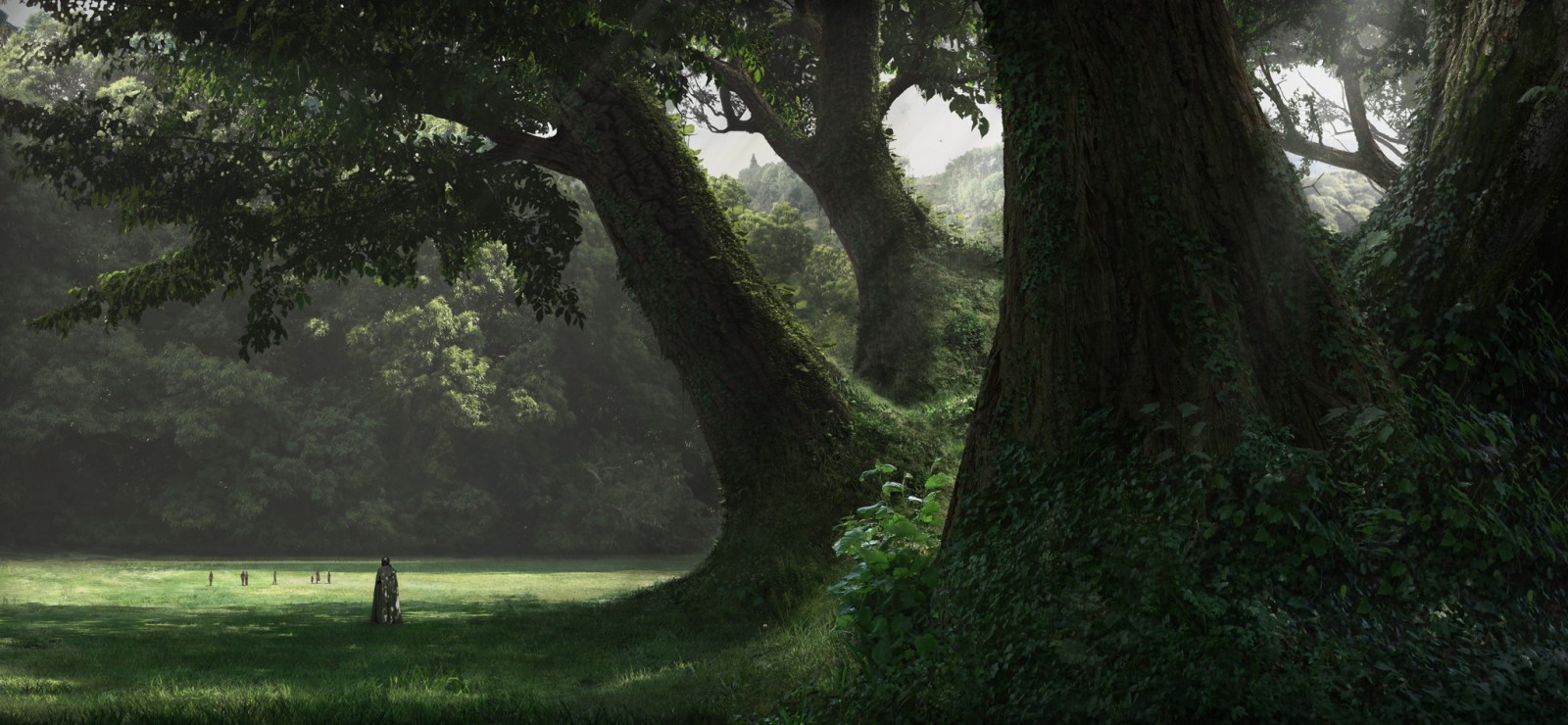 Wallpaper : sunlight, trees, nature, shadow, artwork, green, morning ...