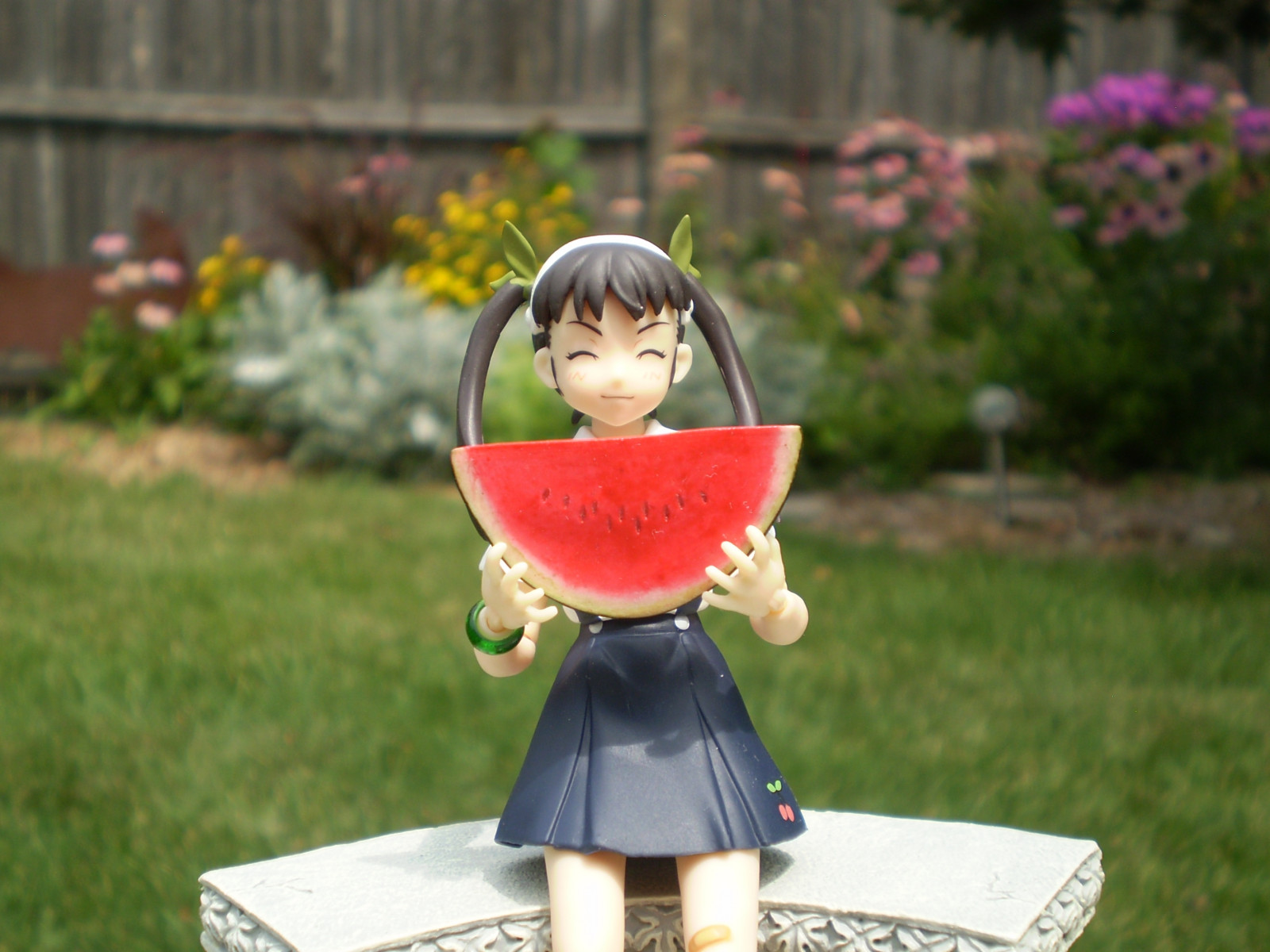 květiny, zahrada, anime, tráva, ovoce, lavice, sukně, letní, twintails, duch, Hračka, hlemýžď, hrát si, dítě, rostlina, dívka, postava, usměj se, akce, vodní meloun, goodsmile, goodsmilecompany, mayoi, figma, Bakemonogatari, hachikuji, GSC, figurka, jfigure, voliéra, doplnění