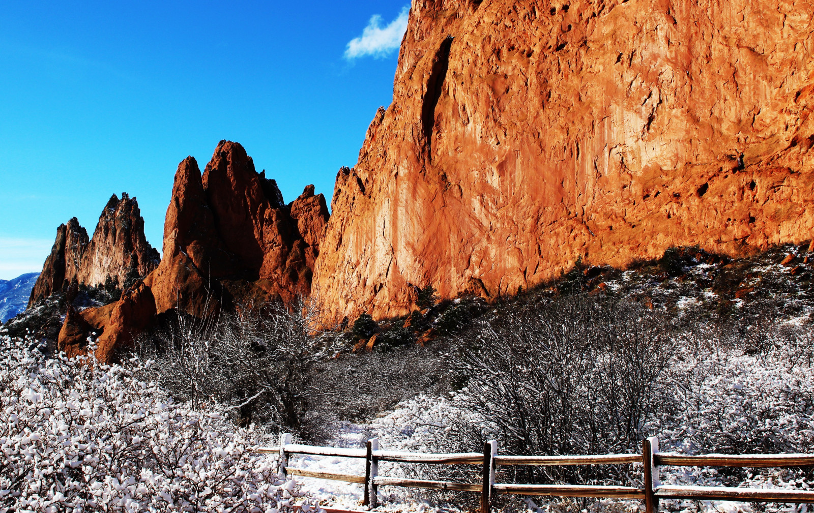 Calorado Rocks Wallpaper : trees, winter, snow, cold, Canon, eos, rebel, frozen ...