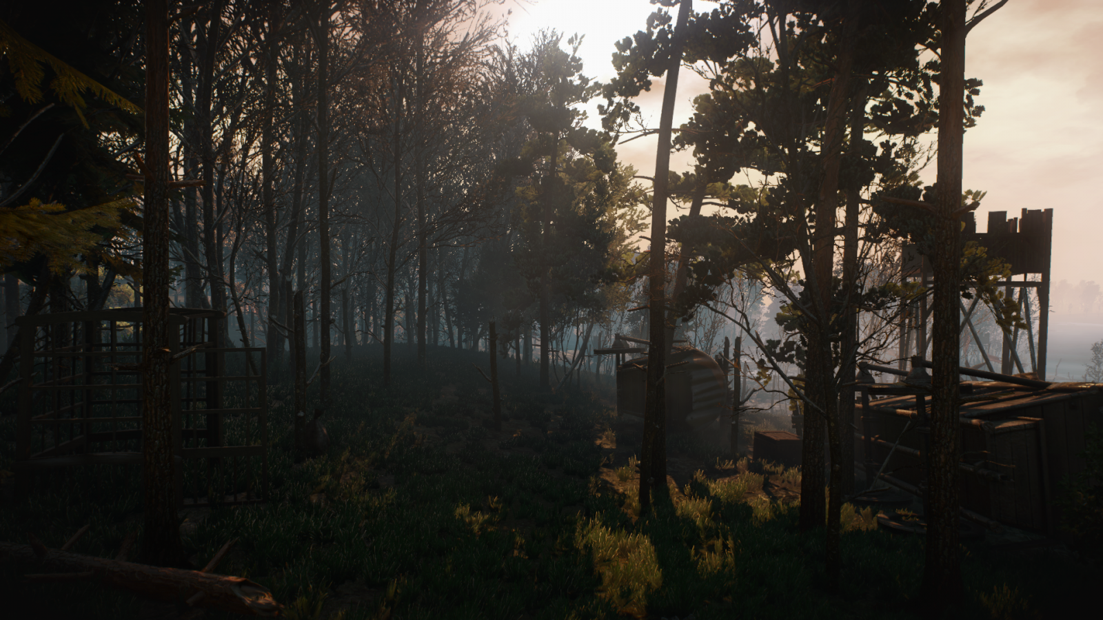 lumière du soleil, forêt, jeux vidéo, le coucher du soleil, nuit, la nature, réflexion, branche, soir, Matin, brouillard, The Witcher 3 Wild Hunt, jungle, arbre, l'automne, feuille, saison, obscurité, 1920x1080 px, habitat, environnement naturel, Phénomène atmosphérique, Plante boisée