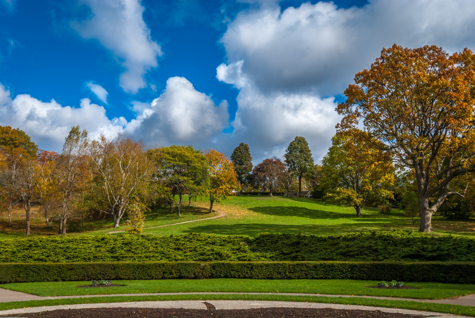 park, Nový, modrý, stromy, světlo, Červené, nebe, oranžový, bílý, rostlina, Toronto, Ontario, Kanada, barva, strom, zelená, podzim, Příroda, tráva, listy, žlutý, mraky, les, krajina, mimo, venku, fotografování, fotografie, list, velký, vysoký, keř, Nikon, Highpark, dynamický, fotky, cesta, Procházka, trávník, stezka, divočina, záblesk, listy, rozsah, HDR, highdynamicrange, nový starý, D60, Liší se barva, nikond60, cans2s, Torontopark, Aglimpseoffall