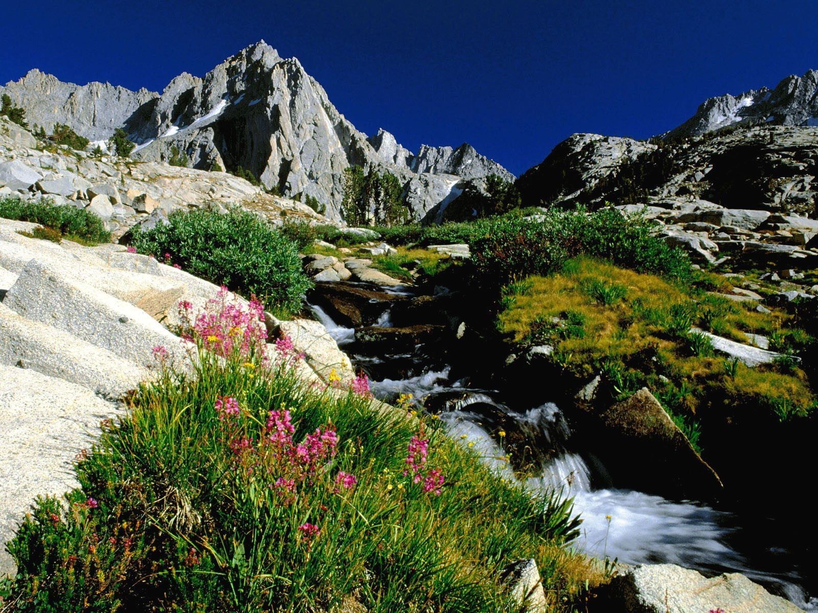 paesaggio, roccia, natura, parco, fiume, Parco Nazionale, valle, Passo di montagna, natura selvaggia, ruscello, Alpi, a passeggio, altopiano, autunno, montagna, fiore, 1600x1200 px, morfologie montane, landform, caratteristica geografica, catena montuosa