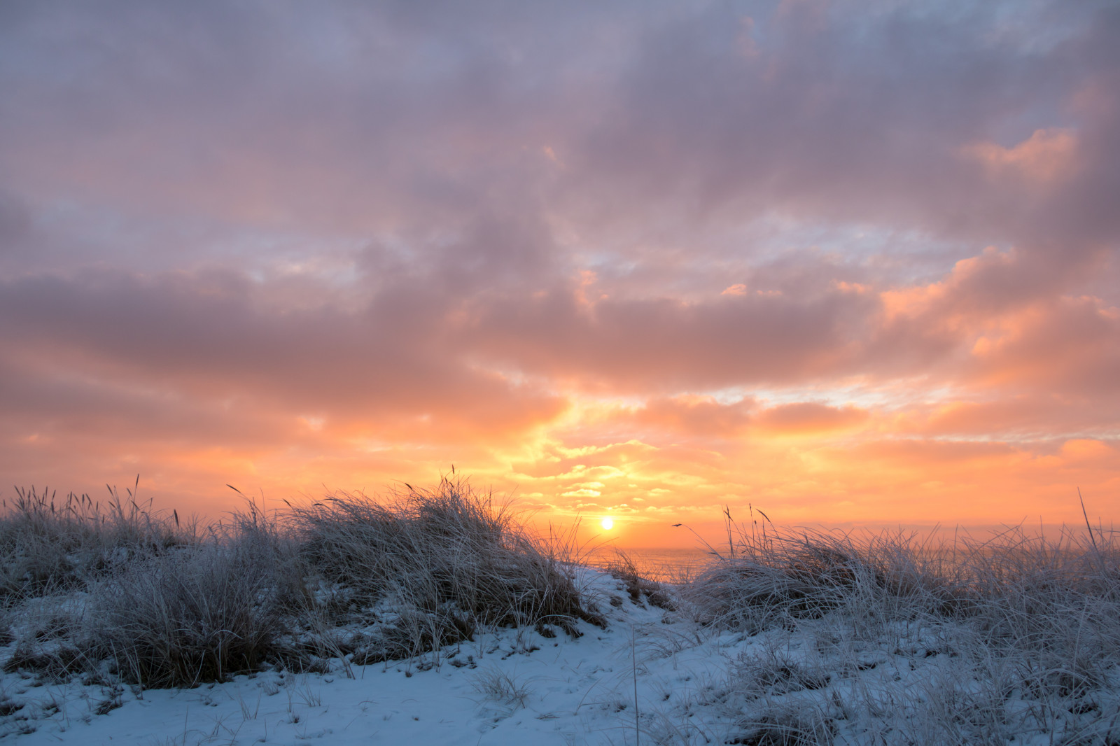 sollys, solnedgang, himmel, sne, vinter, solopgang, kold, aften, morgen, frost, Sol, horisont, skumring, rime, Sky, bjerg, vejr, daggry, sæson, vinter, Kallt, Skateholm, rimfrost, prærie, efterglød, rød himlen om morgenen
