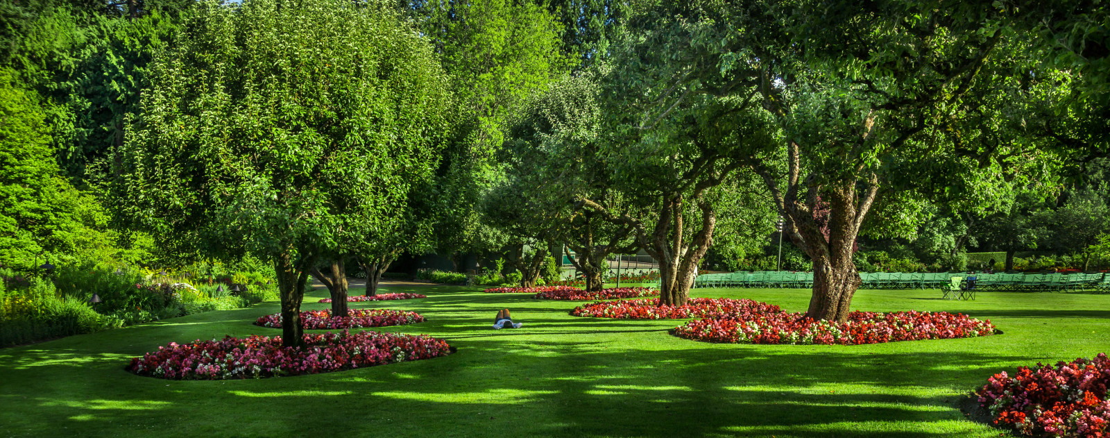 krajina, zahrada, Příroda, milovat, tráva, park, zelená, Sony, život, Victoria, Evergreen, strom, cestovat, list, flickr, květ, yard, rostlina, flóra, vegetace, plantáž, trávník, vancouverisland, sonya77, biome, keř, Botanická zahrada, terénní, Butchartgardens