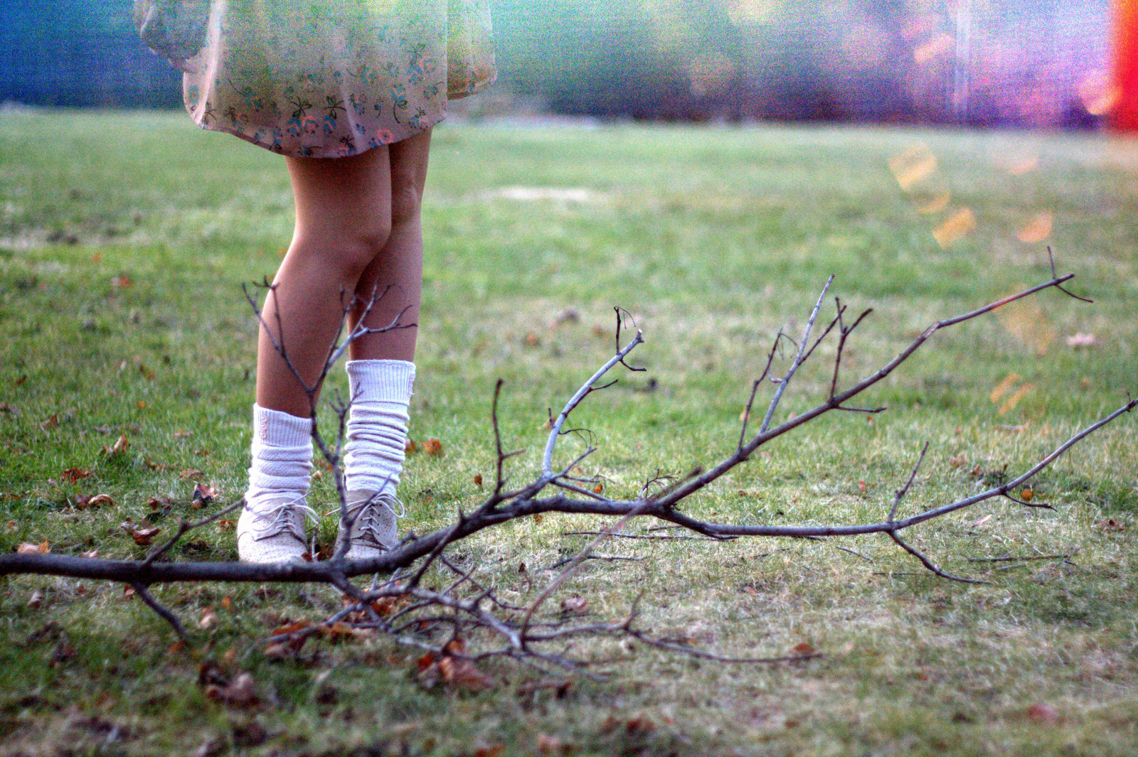 vinter, lys, Lauren, grøn, græs, blade, sokker, sko, kjole, Jeg er, ben, bokeh, korn, keder sig, Pind, Hej, knæ, lække, sadel, altid 21, messyowl