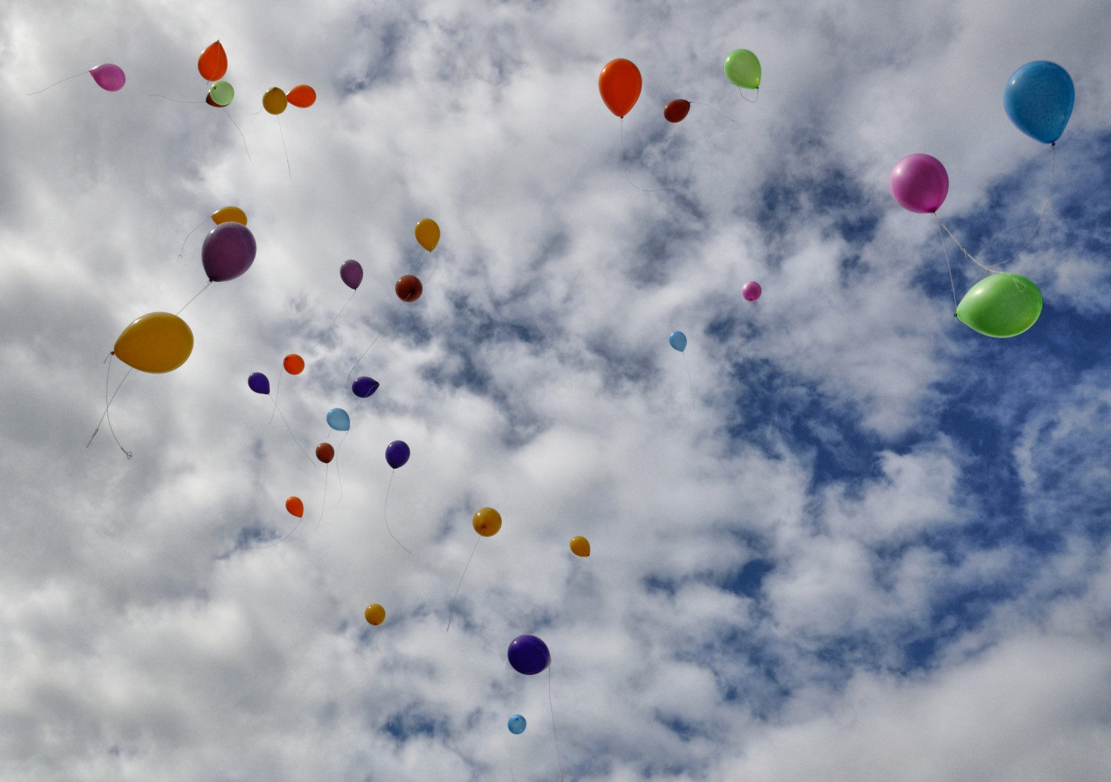 krajina, západ slunce, moře, město, noc, voda, městský, nebe, fotografování, mraky, zelená, modrý, moderní, slunce, balón, grafiti, Hračka, soumrak, Soumrak, klid, mrak, strom, scenérie, cestovat, den, flickr, posvátný, svítání, osvětlené, fotografie, barva, zábava, barvitý, pouliční umění, malovat, městský život, design, moderní, výlet, fotky, mezník, scénický, umělecké dílo, nikond5000, traveldestination, Atmosféra Země, meteorologický jev, horkovzdušný balón, derekkiwiclarke, derekclarke, elevatedview, rozvalený, highangleview, cestování a turismus, bluehourpeace