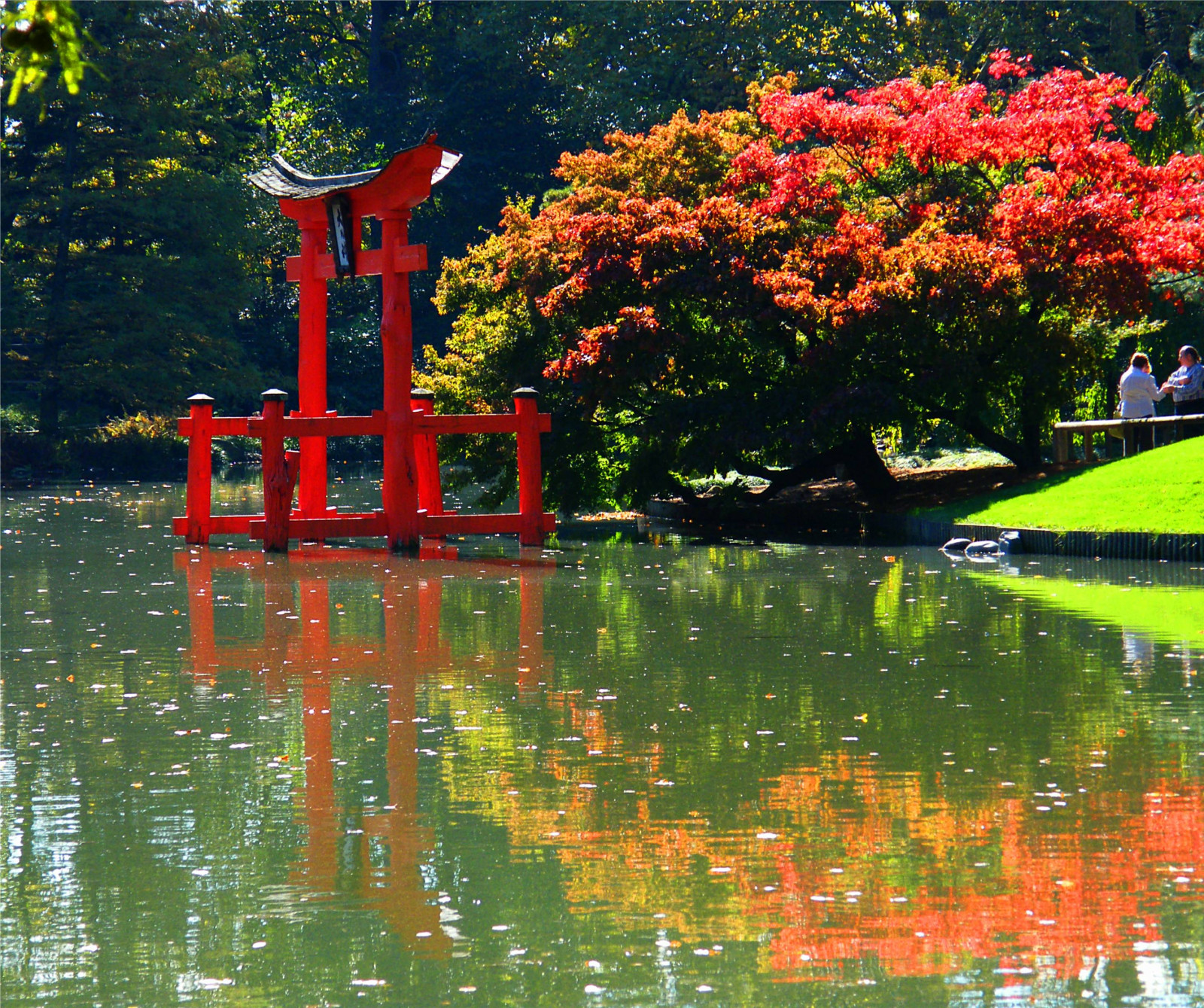 Fondos de pantalla : jardín, japonés, estaciones 2924x2448 - - 930538