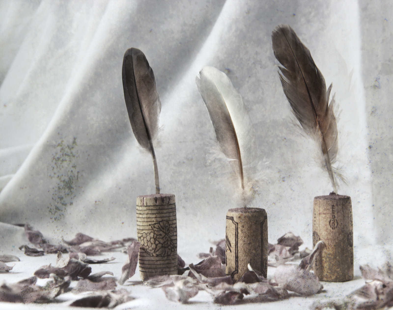 Nový, podzim, 3, textura, mě, krása, já, sezóna, naděje, tři, Lístky, přítel, mír, víno, vy, Radost, peří, Sasanka, vůle, cesta, přání, změna, Řetězce, přání, Nyní, Roztroušené, klidný, připojení, dbalý