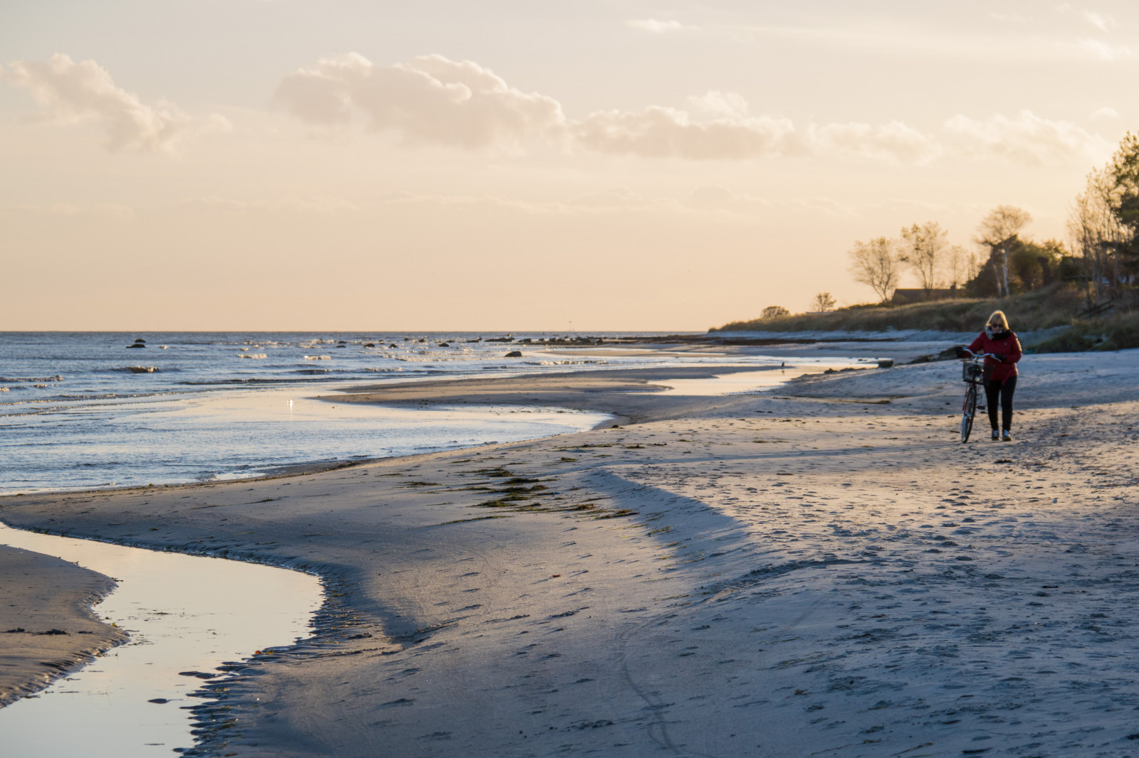 sollys, solnedgang, hav, Bugt, vand, kyst, sand, afspejling, vinter, strand, aften, morgen, kyst, horisont, skumring, ferie, Sky, ocean, bølge, cykel, streng, hav, kv ll, Beddingestrand, kust, exif model canoneos760d, geocountry, kamera gør kanon, geocity, kameramodel canoneos760d, geostate, geolocation, exif linse efs18200mmf3556is, exif gøre kanon, exif isospeed 100, exif focallength 90mm, exif åbning 71, seaskymning, krop af vand, vind-bølge, vadehavet