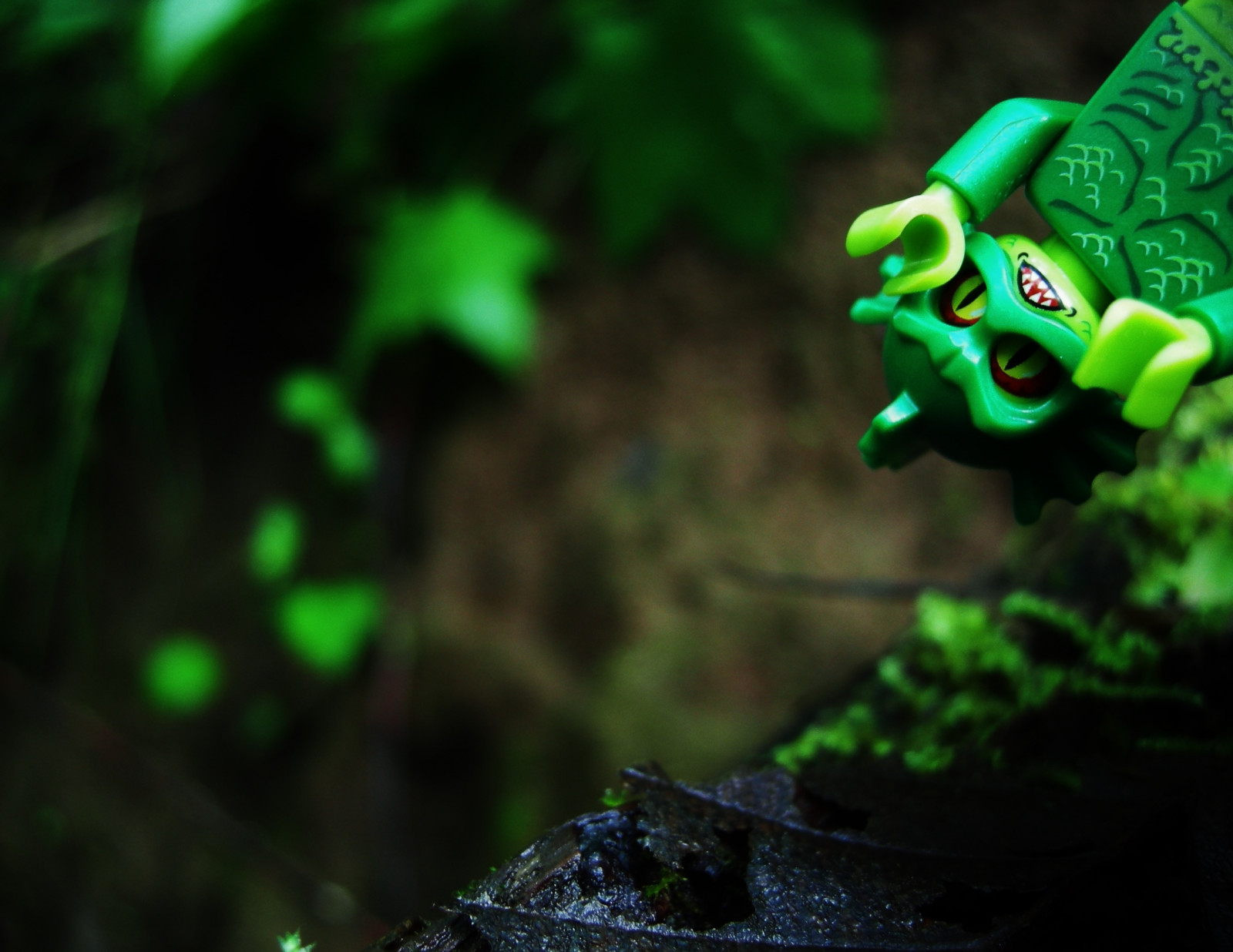 zelená, LEGO, žába, obojživelník, dveře, džungle, jasný, Limetka, mini, Vypískat, venkovní, postava, mimo, ven, boční, tma, makro fotografie, outdoorphotography, fík, legominifig, legominifigure, legofig, outdoorlegophotography, minfig, minfigure, legofigure