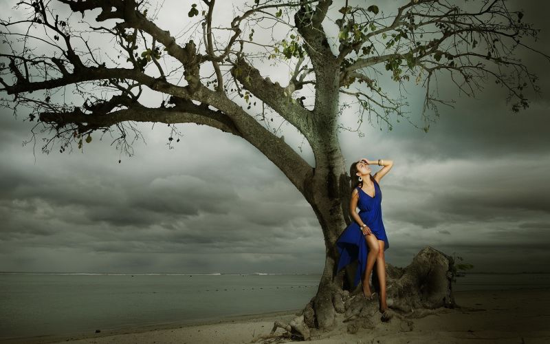 sunlight, trees, women, model, sea, nature sunlight, trees, women, model, sea, nature