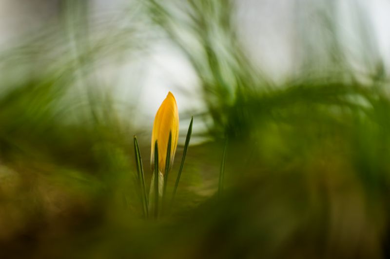 kiron105mmf28macro,105mmf28macro,ซัมซุง,samsungnx,samsungnx1,nx1