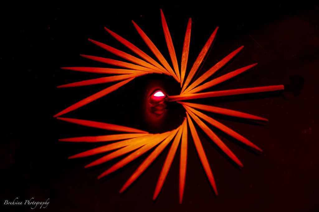 Páni, srdce, makro, pondělky, bouhsina, bouhsinaphotography, růž, oranžový, coeur, láska, Valentin, svatý, feu, Kánon, 5diii, ef100mm, flamme, chaleur, hmm