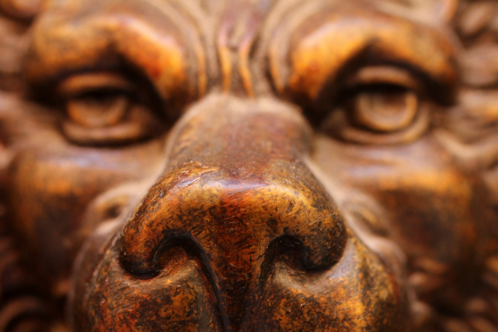 Wallpaper temple, lion, metal, sculpture, statue, France, Provence