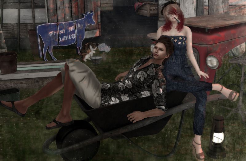 auto,haraburdu,7,piatok,strom,dievča