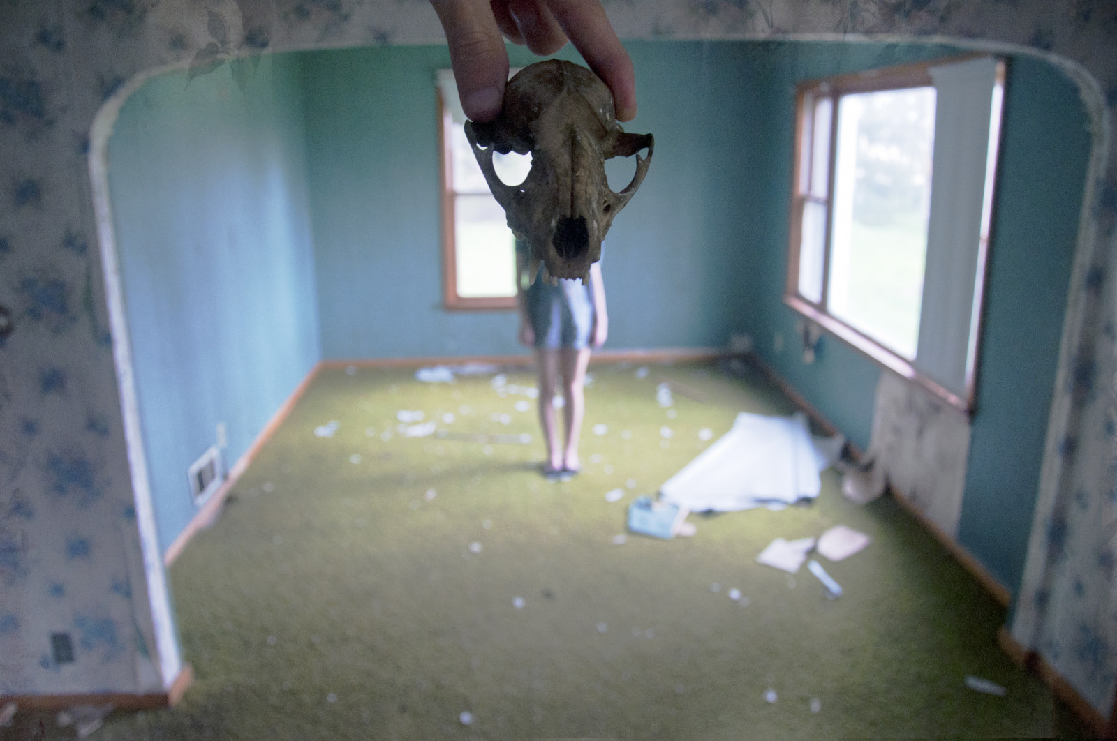 okno, opuštěný, dřevo, Dům, lebka, cubone, oblouk, rám, mrtví, nepořádek, květinový, hlava, Lauren, květ, dívka, patro, podlaha, dno, živobytí, tapeta na zeď, držet, podlaha, abandonedhouse, messyowl, Skullhead, marowak, morwak