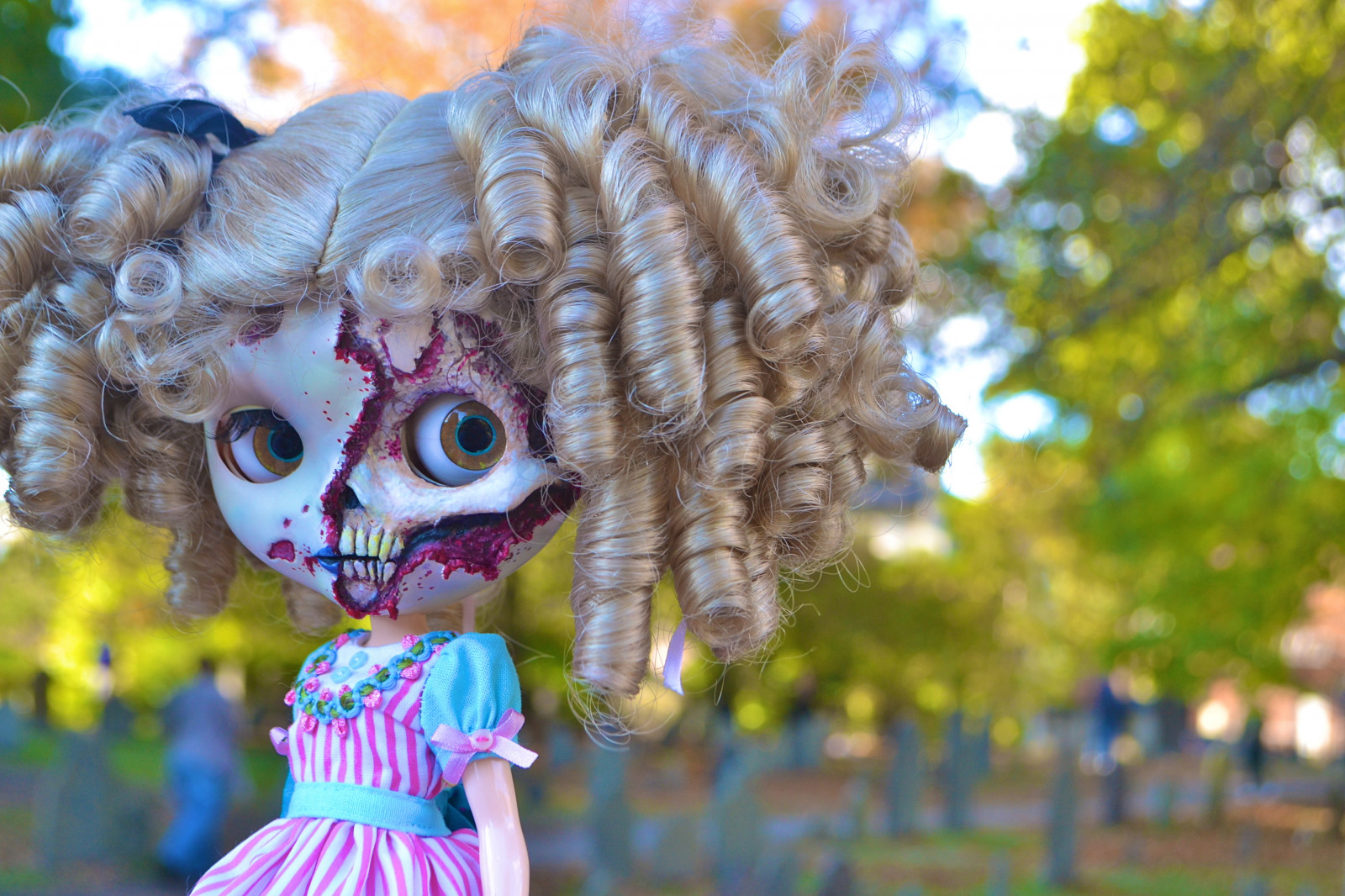 træ, blad, plante, Karneval, afdeling, festival, græs, blomst