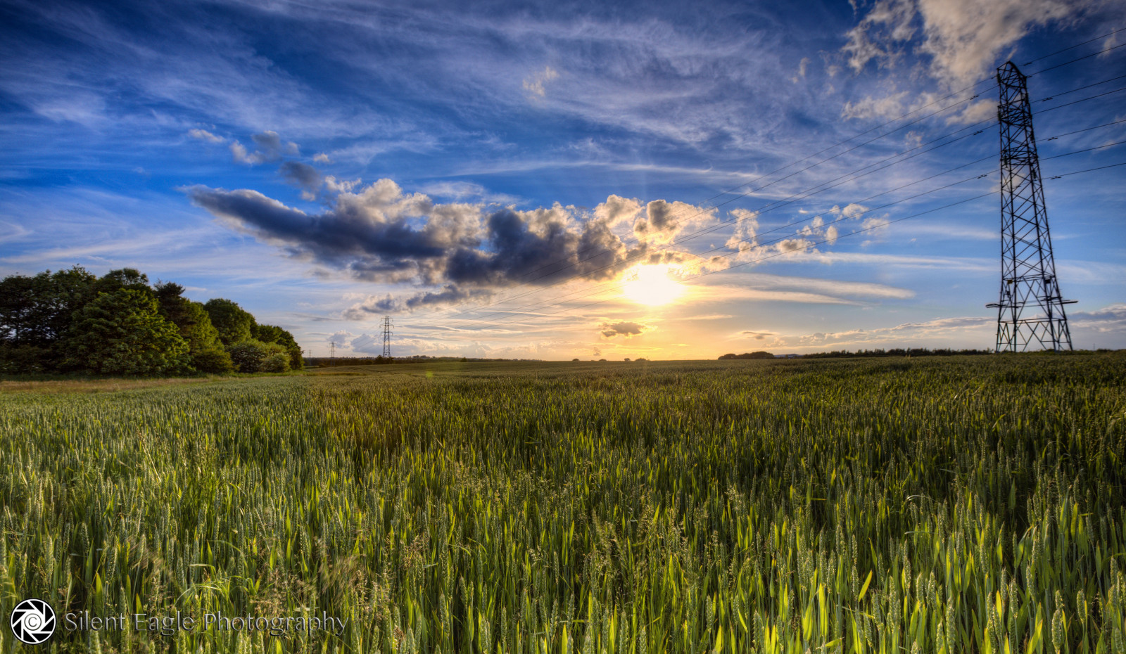 settembre, silenzioso, aquila, fotografia, Canone, paesaggio, piante, azienda agricola, cielo, nube, sunderland, nord-est, tynewear, blu, verde, bellissimo, eccezionale, colori, primavera, all'aperto, cavi, tramonto, Sole, silenteagle09, sottovento, filtri, Nord, est, silenteaglephotography, diritto d'autore, ep946678