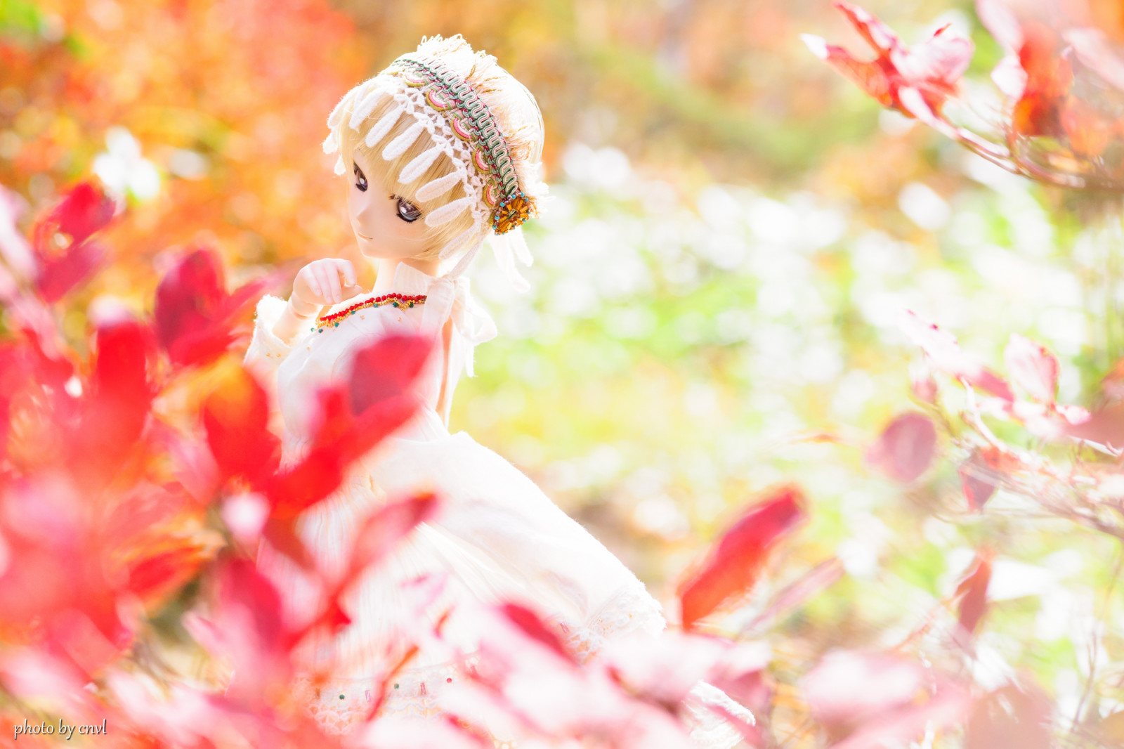 efterår, natur, landskab, japansk, Sony, snap, dd, Dollfie, Volks, Tamron, A09, 2875mm, A900, dollfiedream, cnvl, 900, morikawayuki