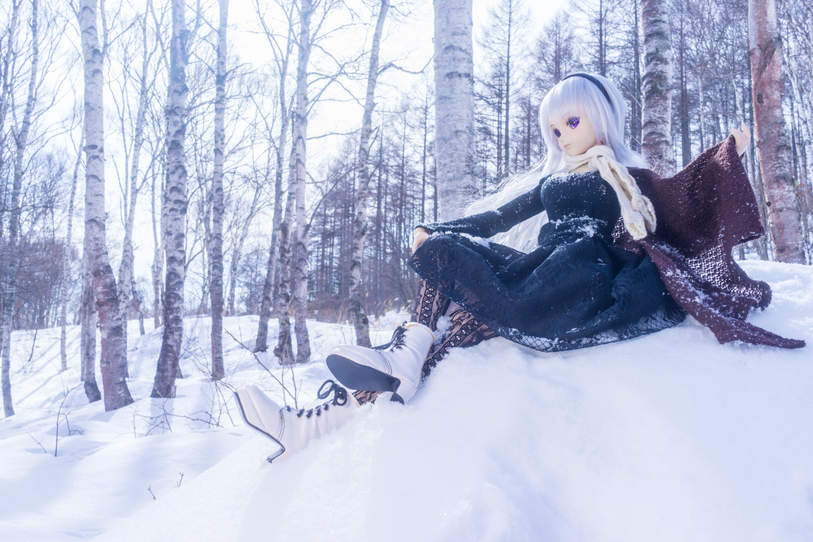 la neve, inverno, ghiaccio, brina, Sony, Congelamento, betulla, RX1R, albero, ragazza, divertimento, bufera di neve, dollfiedream, ddh07, dscrx1r