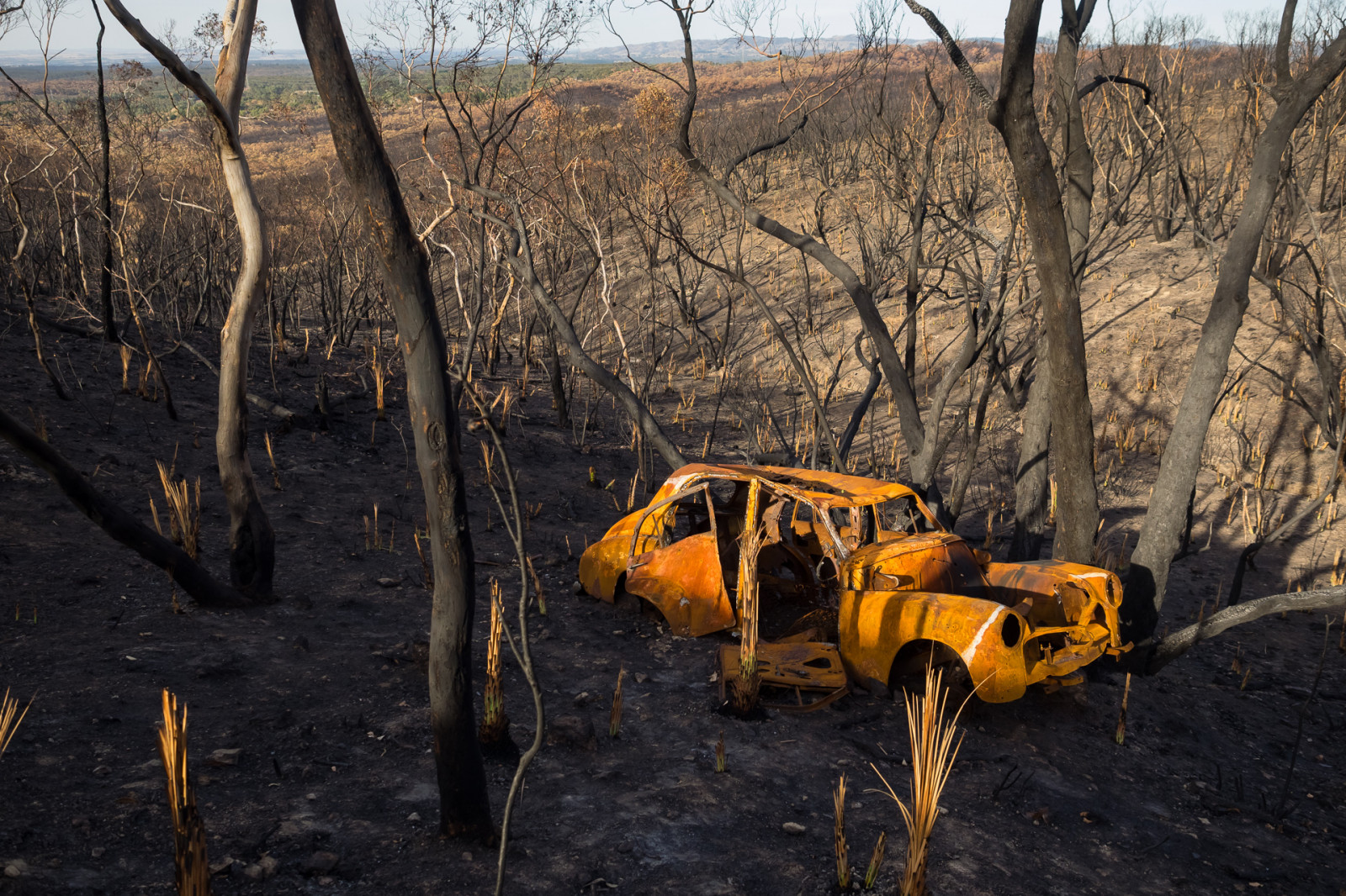 Adelaide Hills, po, afterthefire, následky, Austrálie, australský, billdoyle, požár, hořet, hořel, Spálený, burntout, bushfire, auto, opuštěný, devilgully, devilsgully, oheň, forestrysa, mountgawler, mountgawlernativeforestreserve, mountloftyranges, mtgawler, mtloftyranges, nativeforestreserve, NFR, zveřejnit, požáru vyroste, Sa, sampsonflatbushfire, sampsonflatfire, Jižní Austrálie, southaustralian, vrak, trosky, rozbitý, 100, většina, nedávný, zajímavý, Nejvýznamnějším zájmem, krajina, Mrmijan14, Lofty, Loftys, Loftyrangesimset, pickmeset, Nejinterestingimset, Nejvíce, Mostintlandscapeimset, popularimset, Mostinterestingsaimset, 100mostimset