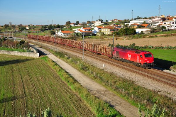 vehicle,wood,field,train,transport,madeira
