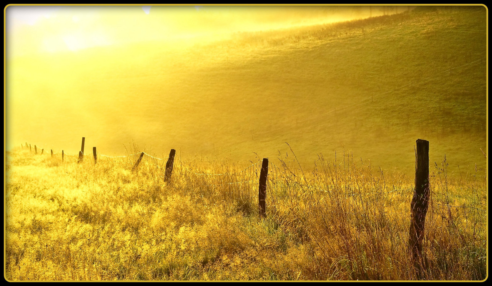 slunečnímu záření, krajina, Příroda, tráva, nebe, pole, svítání, žlutý, večer, ráno, Německo, mlha, kouzlo, slunce, atmosféra, letní, prach, plot, kolínská, step, UMĚNÍ, strom, zlatý, mlha, lučina, elitegalleryaoi, řepka, louka, prostý, tvořivý, magický, mystik, abigfave, platinumheartaward, theunforgettablepictures, flickrstruereflection1, bestcapturesaoi, flickrstruereflection3, blinksuperstars, flickrstruereflection4, flickrstruereflection5, flickrstruereflection6, flickrstruereflection7, aplusphoto, gras, golddragon, platinumphoto, artofimages, colorphotoaward, artlegacy, magicunicornverybest, damniwishidtakenthat, citrit, Oberberg, platinumsuperstar, vanagram, bestofmywinners, prérie, specialpicture, ekosystém, tráva rodina, savana, zboží, ekoregion, Goldenermorgen, Goldmorgen, stock photography