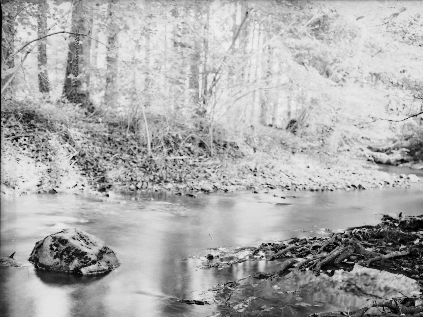 longexposure, las, světlo, Černý a bílý, tělesné, odraz, strom, 120, film, Příroda, voda, černobílý, kámen, analogový, les, mediumformat, Německo, krajina, deutschland, licht, krajiny, 645, wasser, Europa, natur, natura, eifel, bach, Aachen, nRW, SW, 6x45, Landschaft, Wald, Německo, Stein, spiegelung, vatten, baum, tr d, langzeitbelichtung, ROLLFILM, drzewo, ETRS, Euregio, mittelformat, Kornelim nster, schwarzweis, ADOX, Niemcy, Moerschu, zenzabronica, schwarzweisfotografie, Adoxpan25, moerschecodeveloper, ecodeveloper