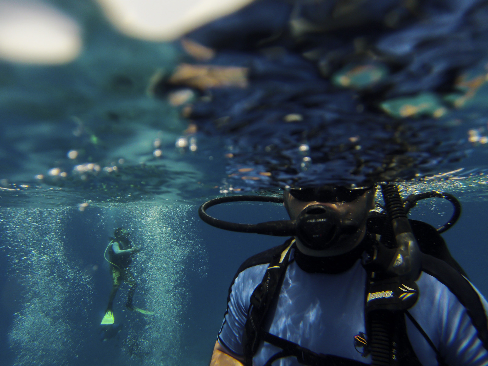 acqua, blu, riflessione, subacqueo, esperto di immersioni, immersioni subacquee, equipaggiamento per la protezione personale, mare, biologia marina, attrezzatura subacquea, immersioni in subacquea, organismo, muta stagna