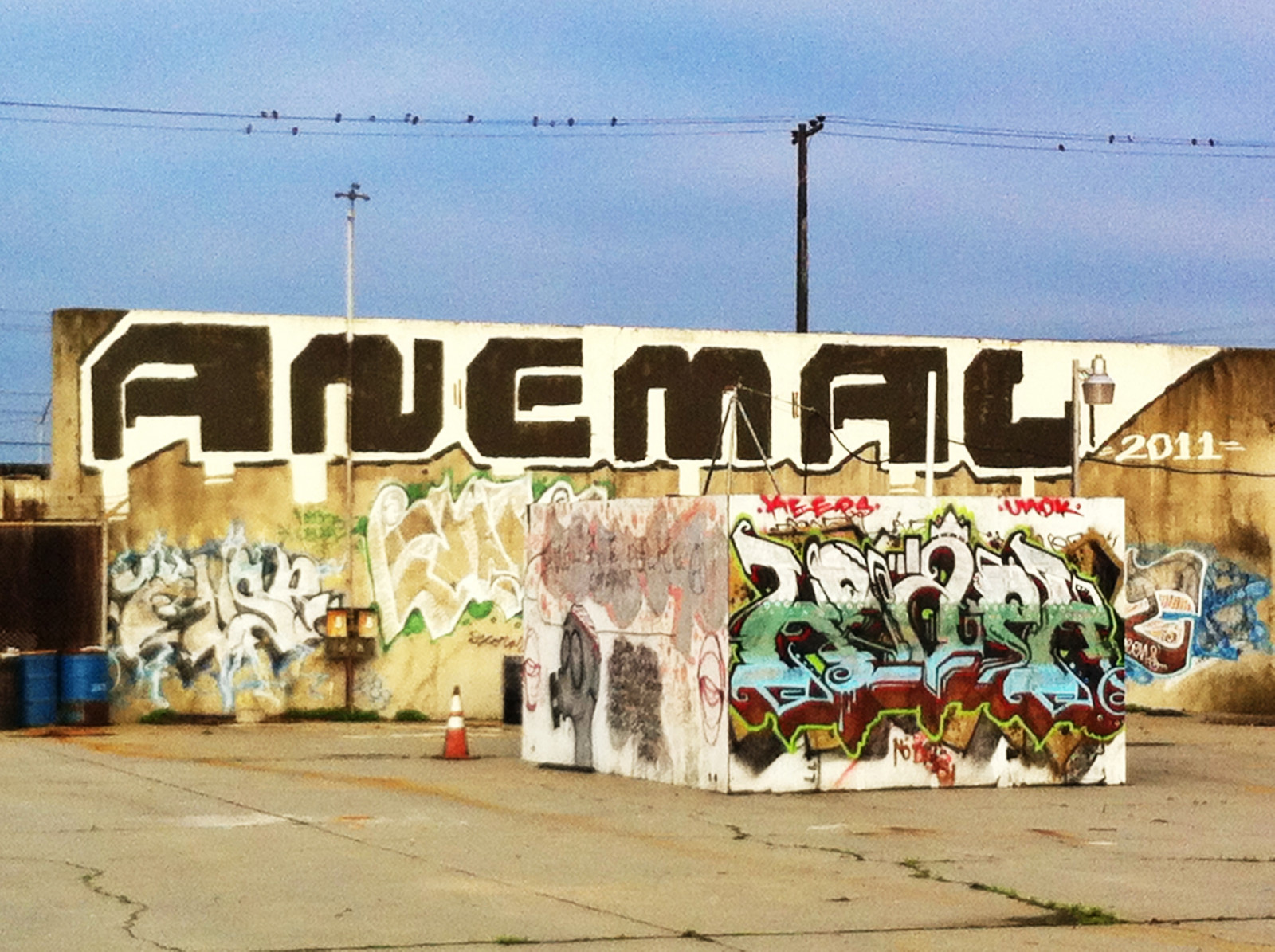 logo, graffiti, Oakland, Mantieni, mantiene, lolc, Ekis, anemal, keaper, anemel, aneml
