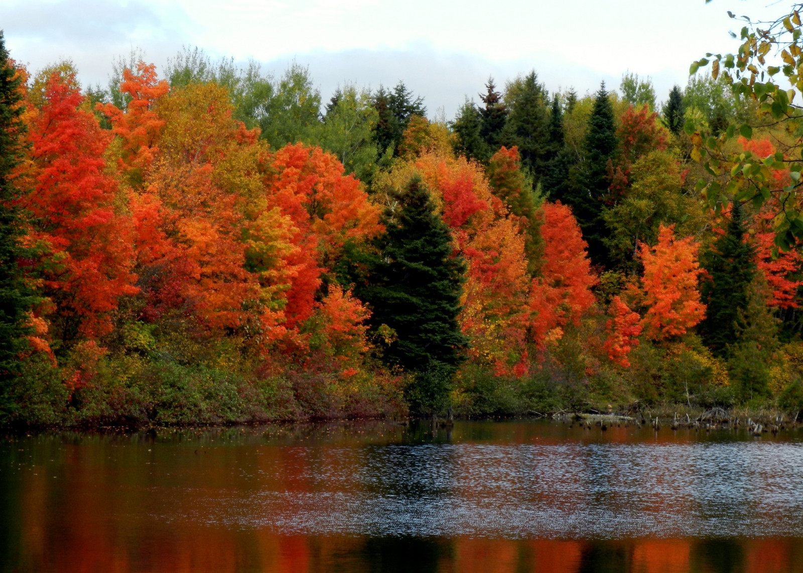 https://c.wallhere.com/photos/9d/e0/2048x1464_px_forest_lake_landscape_nature-1077319.jpg!d