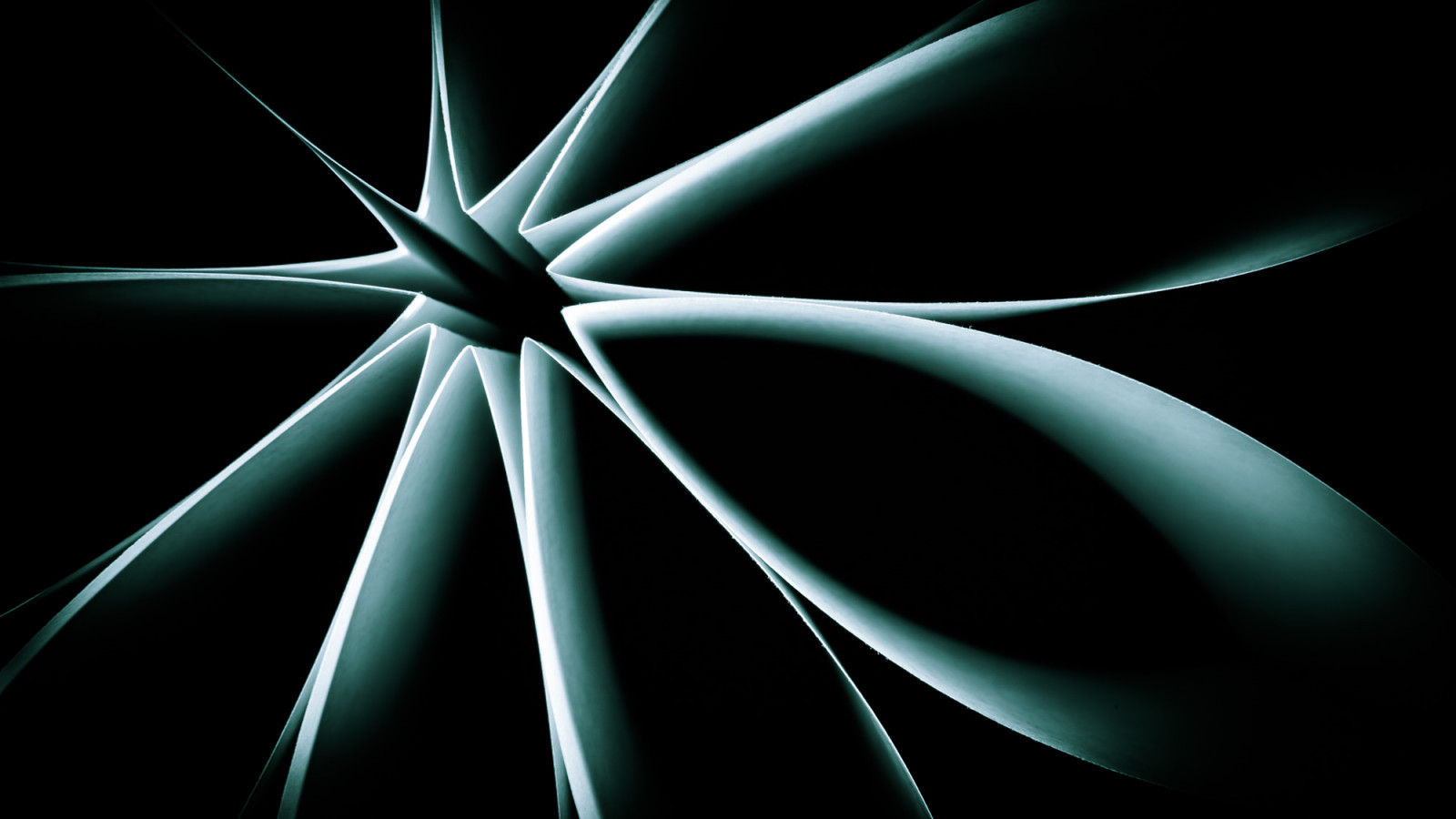 ilustrace, abstraktní, symetrie, zelená, Anglie, Kánon, kruh, 2015, Spojené království, Únor, světlo, tvar, čára, tma, 6d, project365, Snímek obrazovky, britian, počítač tapeta, Černý a bílý, monochromatické fotografování, fraktální umění, makro fotografie, Stoke-on-Trent, stafordšírský, eos6d