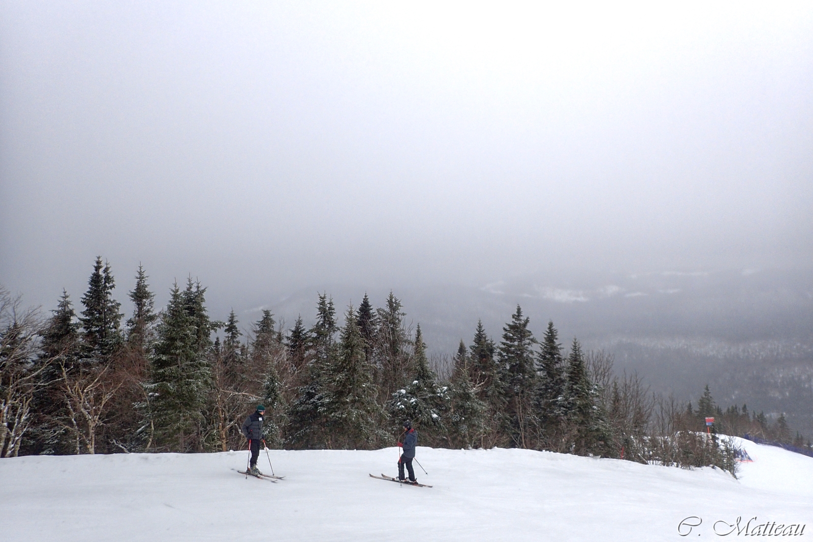 montsteanne, provincedequ bec, Quebec, Canada, sciare, Sciare, hiver, inverno, neige, la neve, paysage, paesaggio, sport, al di fuori, foresta