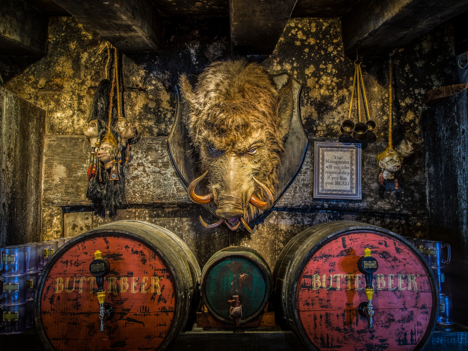 bar, Orlando, Florida, Olympus, universalstudios, hog, OMD, islandsofadventure, Butterbeer, threebroomsticks, wizardingworldofharrypotter, wwohp, normlanier, normlaniercom