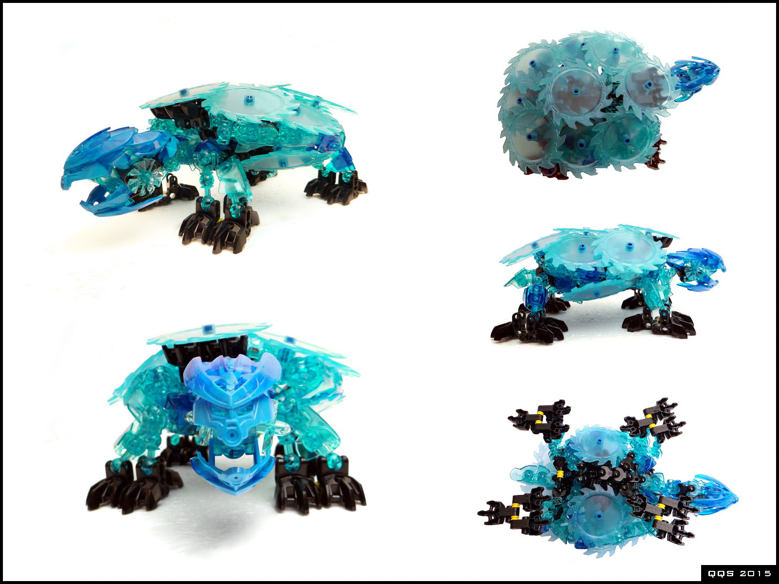 สิ่งมีชีวิต, เทอร์คอยส์, พลาสติก