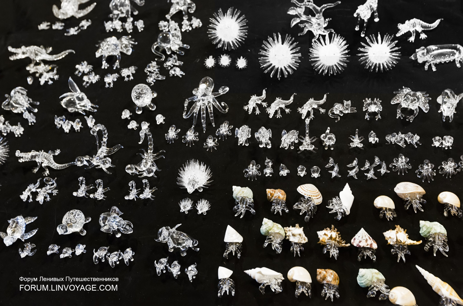 คน, อาหาร, ถนน, กลางคืน, สถาปัตยกรรม, สาขา, กระจก, รูปแบบ, เมือง, เกาะ, ประเทศไทย, ที่เดิน, อาทิตย์, เบา, ดอกไม้, ตลาด, กลางแจ้ง, หญิงสาว, ออกแบบ, ภูเก็ต, phuketian, vw, ฉลอง, ฝูงชน, ทำด้วยมือ, phuketphotographernet, forumlinvoyagecom, httpforumlinvoyagecom