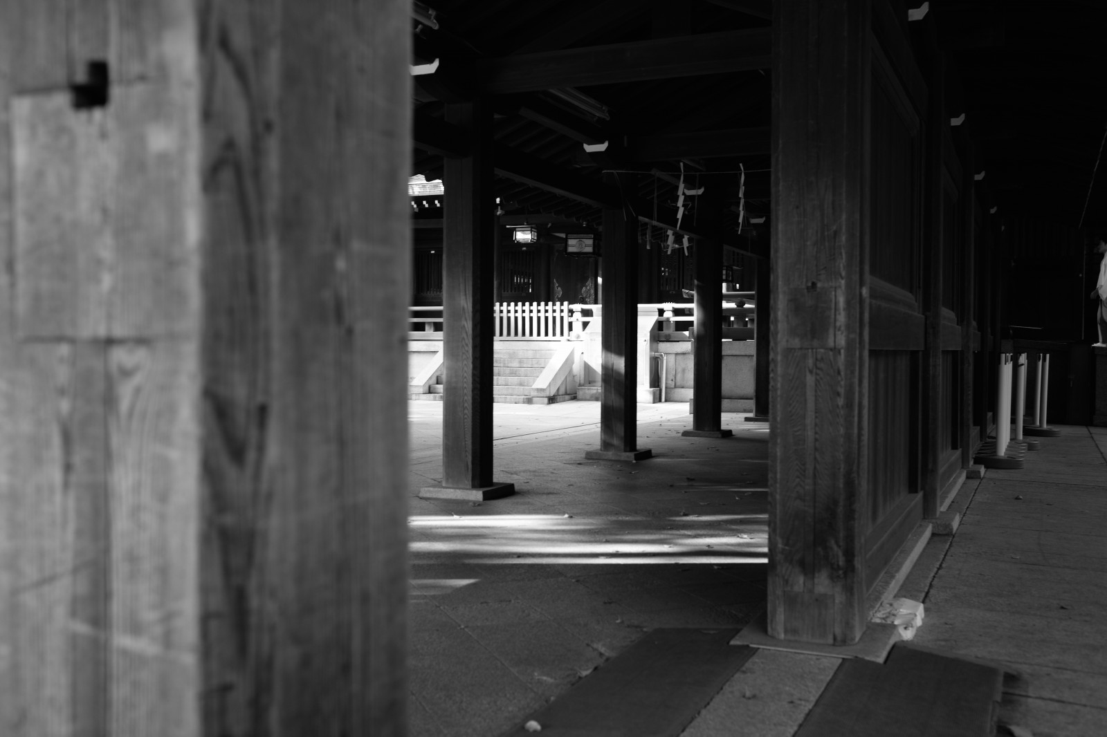 bílý, Černá, černobílý, ulice, noc, silnice, fotografování, Leica, Tokio, infrastruktura, M, světlo, alej, osvětlení, tvar, tma, Summicron, typ240, Harajuku, summicron35mmf2, 20141019, meijijingushrine, momentka, urban area, Černý a bílý, monochromatické fotografování, Film noir