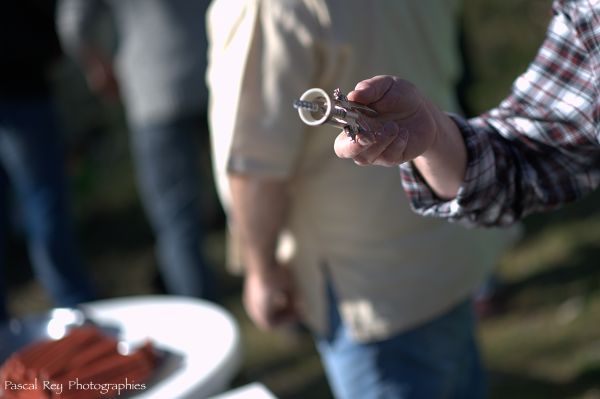 hands,photography,Linux,Nikon,France,Ubuntu