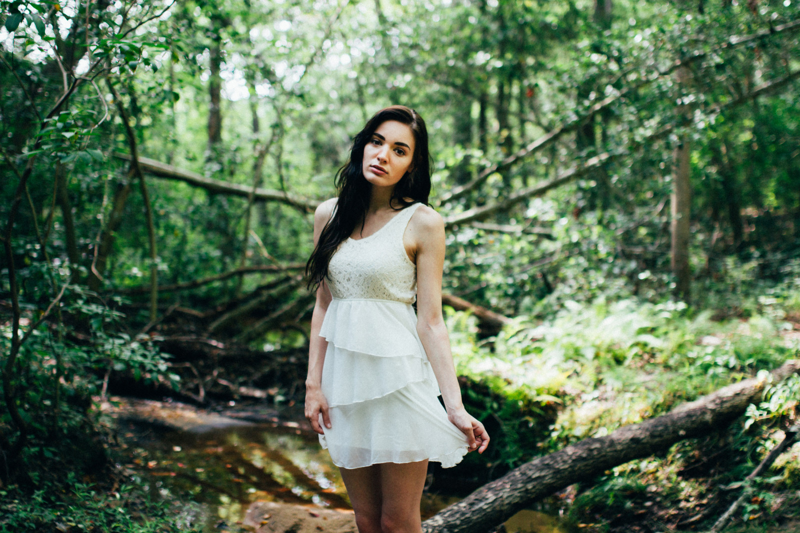 slunečnímu záření, les, model, Příroda, bruneta, fotografování, šaty, Kánon, móda, bokeh, džungle, jaro, 35MM, F14, rebel, podzim, květ, dívka, krása, žena, focení, dáma, fotografie, bokehlicious, VSCO, modelování, 600D, naturallight, eos, kotě, fashionphotography, modelphotography, T3i, vscofilm, zálesí, místo výskytu, přírodní prostředí, portrétní fotografie, focení, sigma35mm, kissx5, kylewillisphotography, 35mmf14, 35mmart