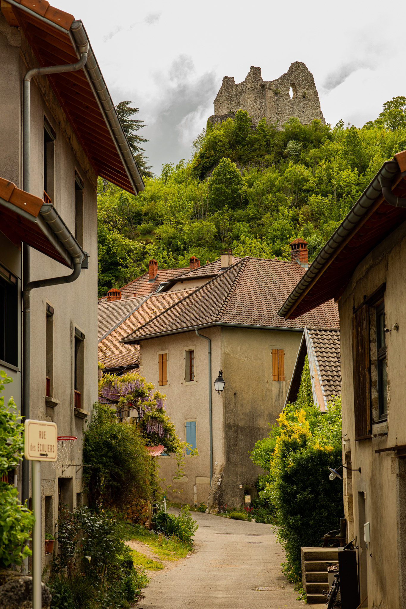 all'aperto, villaggio, fotografia, natura, alberi, foresta, colline, costruzione, verdura, castello, fiori, arbusti, viti