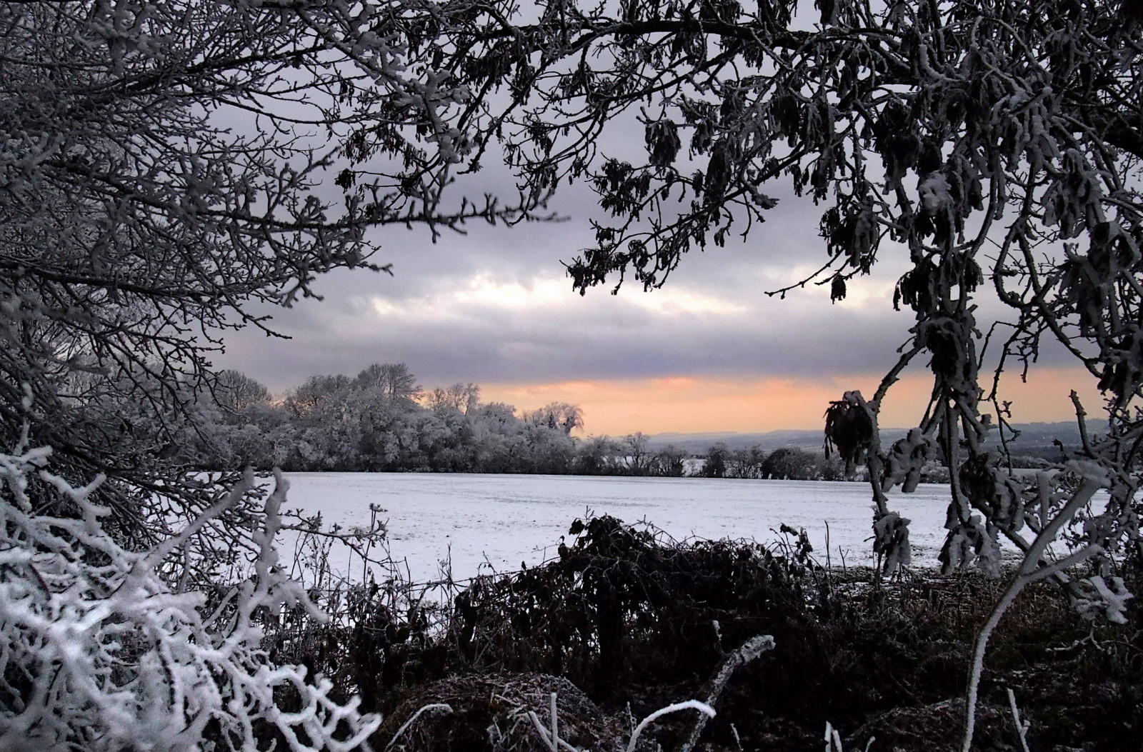 voda, zima, sníh, Příroda, odraz, strom, nebe, větev, zmrazení, dřevina, mráz, ráno, list, večer, jezero, atmosféra, slunečnímu záření, banka, mrak, krajina, řeka, rostlina, zálesí, jaro, Černý a bílý, mokřadní, les, počítač tapeta, led