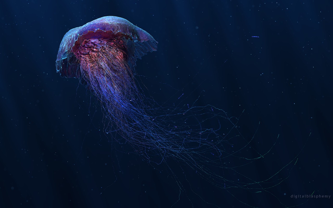 digital konst, djur, fisk, under vattnet, manet, biologi, yttre rymden, ryggradslös, marinbiologi, marina evertebrater, djuphavsfisk