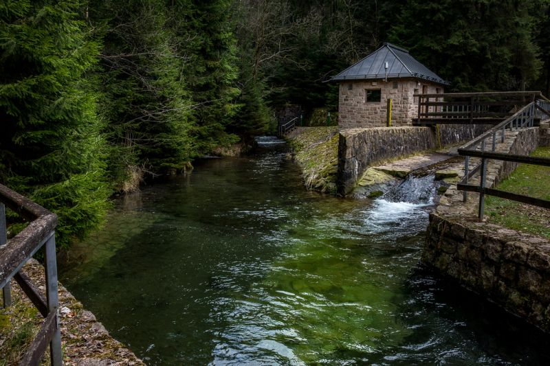 les, voda, odraz, most, řeka, divočina les, voda, odraz, most, řeka, divočina