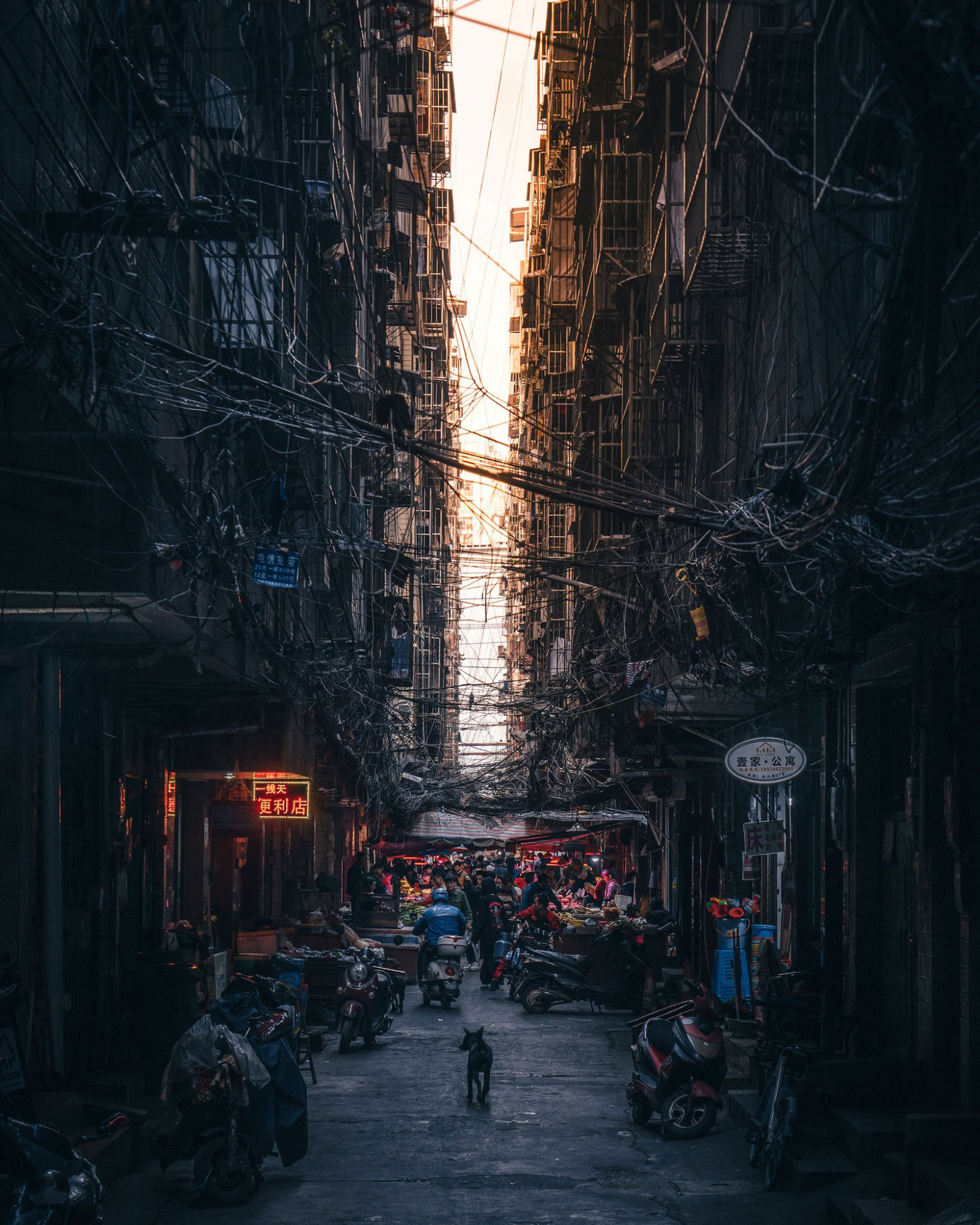 atmosféra, budova, infrastruktura, povrch vozovky, elektřina, architektura, okno, kolo, pneumatika, nebe, sousedství, stěna, ráno, mrakodrap, silnice, věž, mezník, panelový dům, alej, město, Metropolitní oblast, Tints and shades, soumrak, metropole, tma, půlnoc, urban area, petrolejově modrá, prostor, večer, automotive Lighting, UMĚNÍ, panoráma města, událost, ulice, zima, odraz, centrum, pruh, noc, pěší, smíšené využití, strom, svítidlo, elektrické napájení, dlažební kamen, visual arts, motocykl, stín, podlaha, teplo