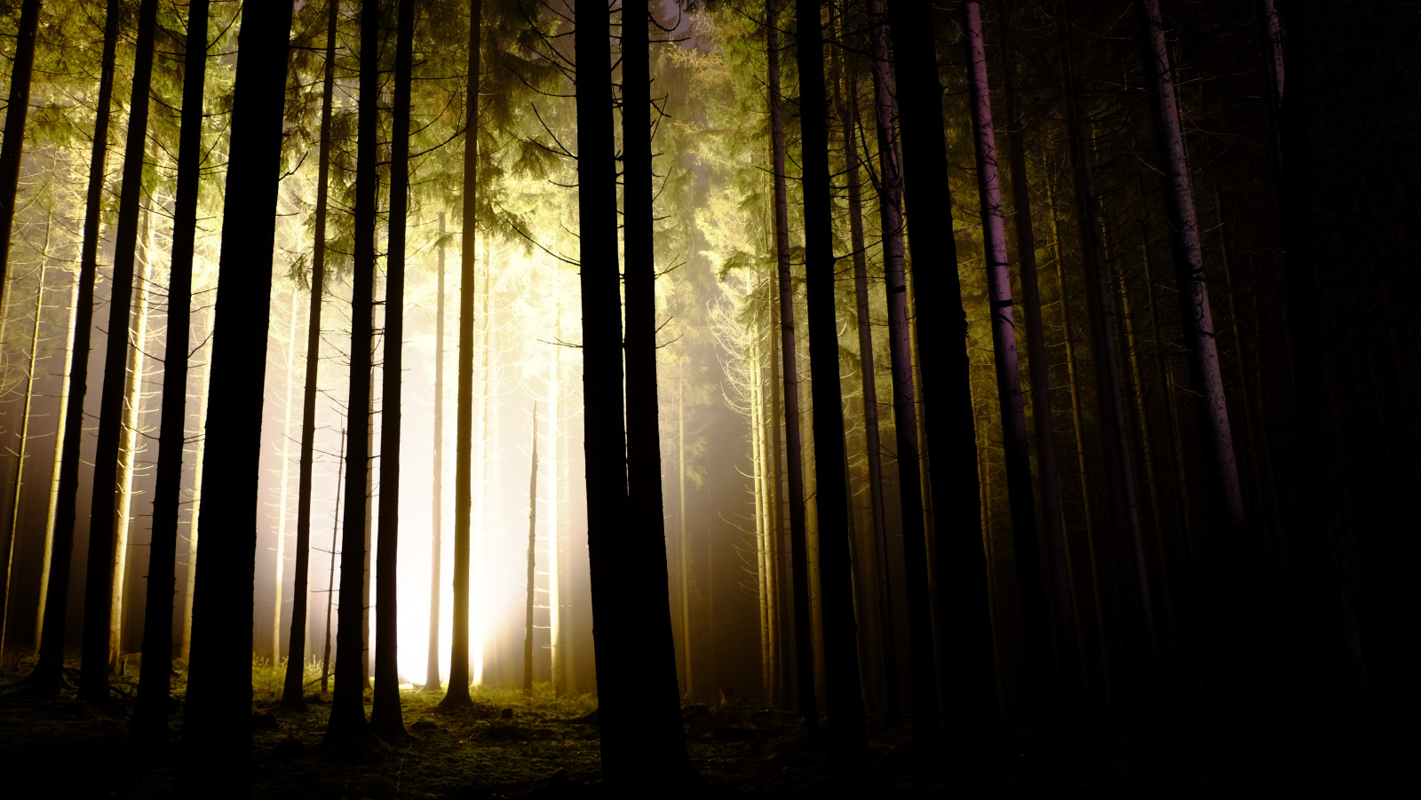 slunečnímu záření, stromy, les, noc, Příroda, odraz, dřevo, větev, ráno, Německo, mlha, atmosféra, Vánoce, Bavaria, zakletý, opar, veletrh, světlo, strom, podzim, mlha, osvětlené, trh, osvětlení, příchod, deutschland, Weihnachts, tma, noc, Wald, bayern, Weihnachtsmarkt, nachts, markt, b UME, Nacht, Bayerische, 169, Nebel, zálesí, Spessart, Ruhe, Naturpark, místo výskytu, přírodní prostředí, atmosférický jev, počítač tapeta, dřevina, Zauberwald, weihnachten, n chtlich, Unterfranken, Frieden, Schanz, m rchenwald, Lohr, Bavorské, waldsch NKE, adventsmarkt, ruppertsh tten